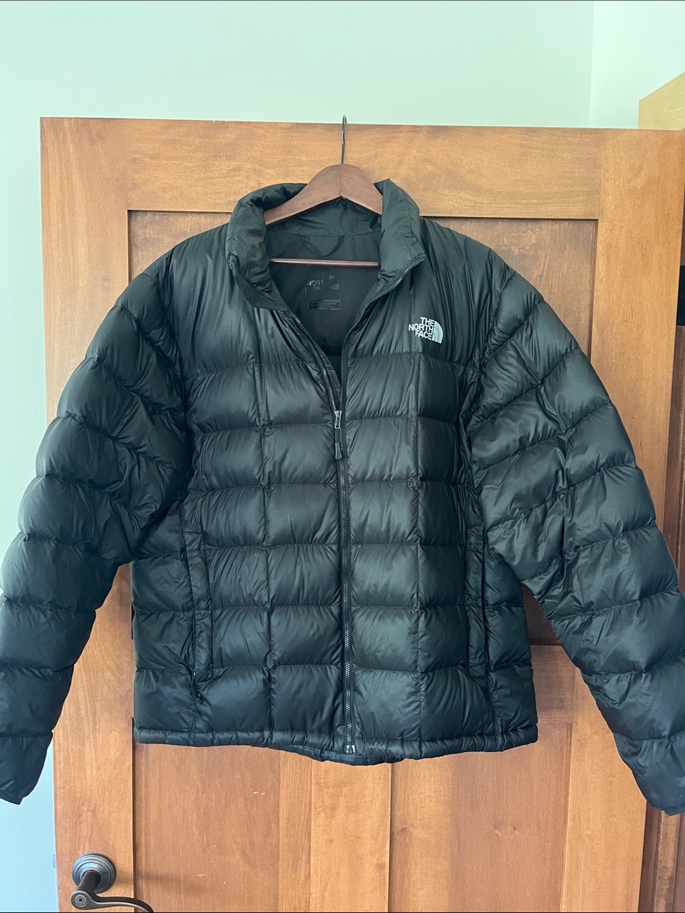 The North Face Men’s Black Quilted Down Puffer Jacket
